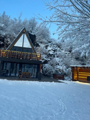 Valea Mosului - Charme A Frame Petroşani
